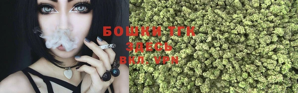 хмурый Армянск
