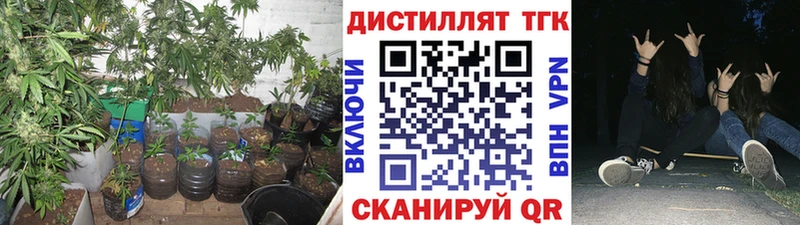 где купить   Вязники  ТГК вейп с тгк 
