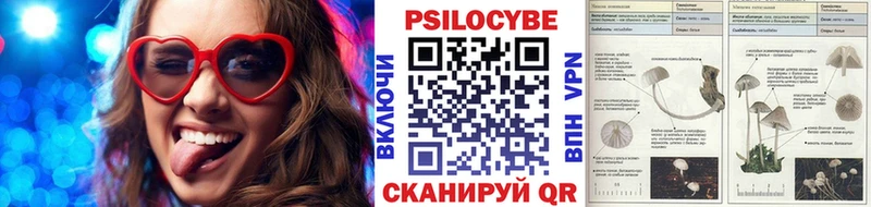 Псилоцибиновые грибы прущие грибы  Вязники 